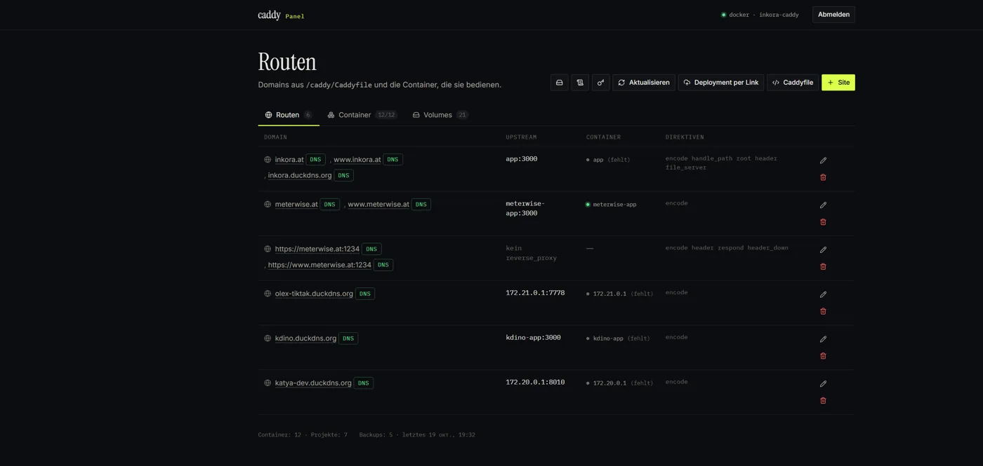 Caddy Panel showing reverse proxy routes and Docker container status